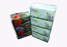 Facial Tissues / Travel Pack